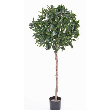 Fake Laurel tree ALEXIOS, real stem, fruits, 6ft/175cm, Ø22"/55cm Fake Laurel tree ALEXIOS, real stem, fruits, 6ft/175cm, Ø22"/55cm