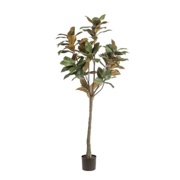 Artificial Yulan magnolia BELLITA, artificial stem, green-olive, 5ft/150cm Artificial Yulan magnolia BELLITA, artificial stem, green-olive, 5ft/150cm