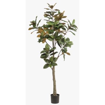 Artificial Yulan magnolia BELLITA, artificial trunk, green-olive, 6ft/180cm