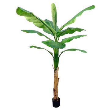 Artificial banana tree SCHWANA, 7ft/210cm Artificial banana tree SCHWANA, 7ft/210cm