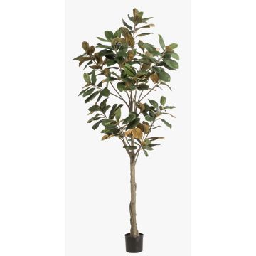 Artificial Yulan magnolia BELLITA, artificial stem, green-olive, 7ft/210cm