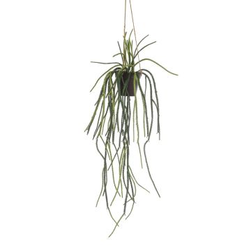 Decorative rhipsalis hanging basket JEXIA, decorative pot, green, 33"/85cm