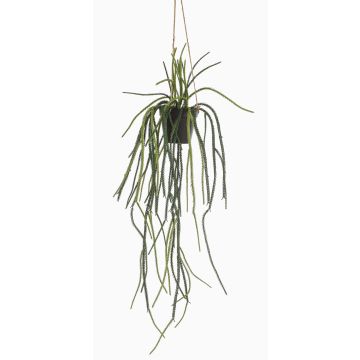 Decorative rhipsalis hanging basket JEXIA, decorative pot, green, 33"/85cm