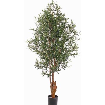 Artificial olive tree FINLOR, real trunk, with fruits, crossdoor, 6ft/170cm Artificial olive tree FINLOR, real trunk, with fruits, crossdoor, 6ft/170cm