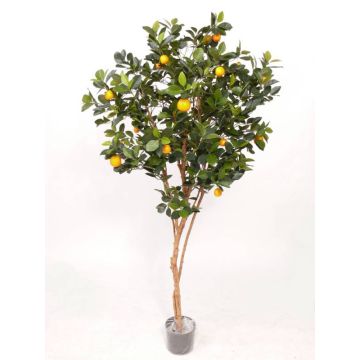 Artificial Mandarin tree MITRA, real stems, with fruits, 6ft/180cm Artificial Mandarin tree MITRA, real stems, with fruits, 6ft/180cm