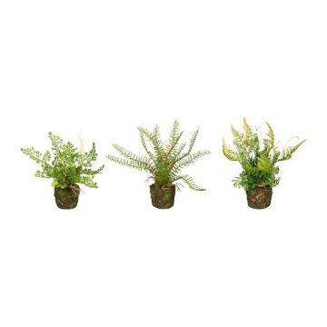 FUNGAR artificial fern mix: maidenhair fern, sword fern, shield fern, 3 pieces, soil ball, green, 22cm, Ø25cm