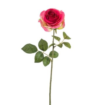 Rose Artificial BRUNETTE, hot pink-green, 70cm, Ø11cm
