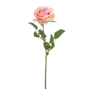 Rose Artificial BRUNETTE, pink-cream, 70cm, Ø11cm