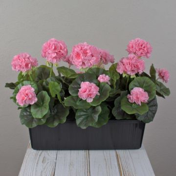 FLOREANA artificial geraniums in a window box, 3 pieces, light pink, 40x15x35cm