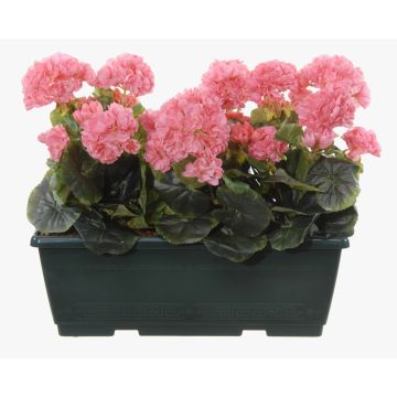 Artificial geraniums FLOREANA in a window box, 3 pieces, light pink, 16"x5.9"x14"/40x15x35cm Artificial geraniums FLOREANA in a window box, 3 pieces, light pink, 16"x5.9"x14"/40x15x35cm