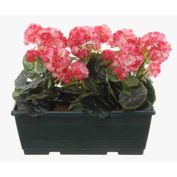Artificial geraniums FLOREANA in a window box, 3 pieces, dark pink, 16"x5.9"x14"/40x15x35cm Artificial geraniums FLOREANA in a window box, 3 pieces, dark pink, 16"x5.9"x14"/40x15x35cm