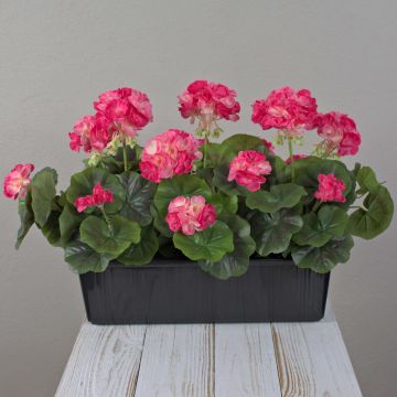Artificial geraniums FLOREANA in a window box, 3 pieces, dark pink, 40x15x35cm