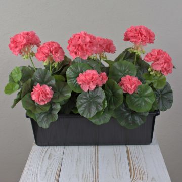 FLOREANA artificial geraniums in a window box, 3 pieces, salmon, 40x15x35cm