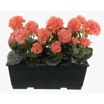 Artificial geraniums FLOREANA in a window box, 3 pieces, salmon, 16"x5.9"x14"/40x15x35cm Artificial geraniums FLOREANA in a window box, 3 pieces, salmon, 16"x5.9"x14"/40x15x35cm