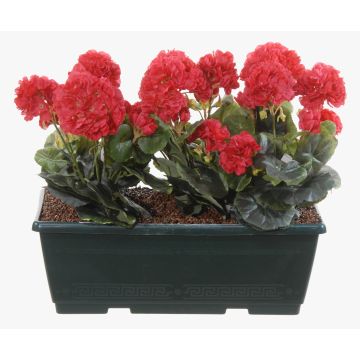 Artificial geraniums FLOREANA in a window box, set of 3, fuchsia, 16"x5.9"x14"/40x15x35cm Artificial geraniums FLOREANA in a window box, set of 3, fuchsia, 16"x5.9"x14"/40x15x35cm