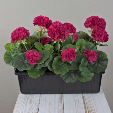 FLOREANA artificial geraniums in a window box, set of 3, pink, 40x15x35cm