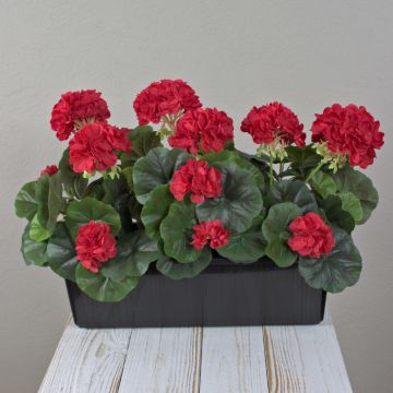 FLOREANA artificial geraniums in a window box, set of 3, red, 40x15x35cm