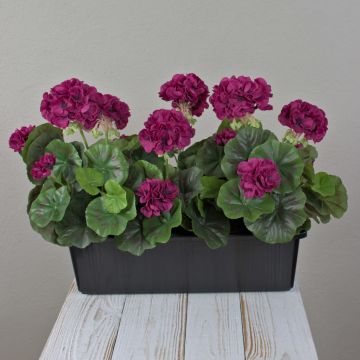 FLOREANA artificial geraniums in a window box, set of 3, burgundy, 40x15x35cm