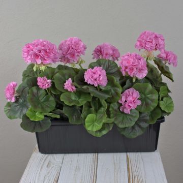 FLOREANA artificial geraniums in a window box, set of 3, purple, 40x15x35cm