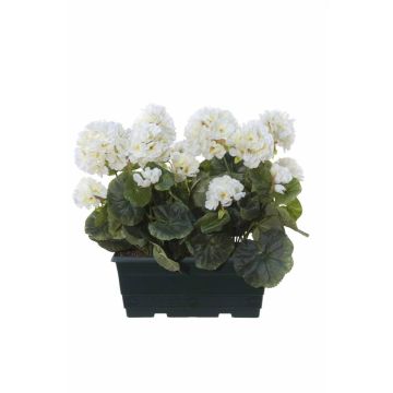 FLOREANA artificial geraniums in a window box, 2 pieces, white, 24x11x35cm
