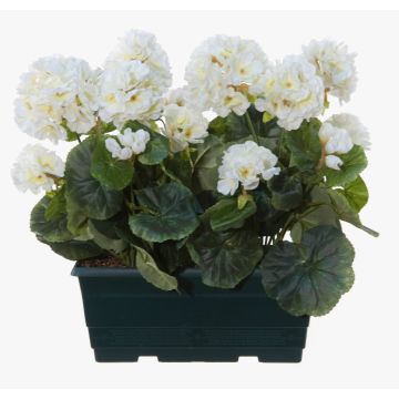 Artificial geraniums FLOREANA in a window box, 2 pieces, white, 9"x4.3"x14"/24x11x35cm Artificial geraniums FLOREANA in a window box, 2 pieces, white, 9"x4.3"x14"/24x11x35cm