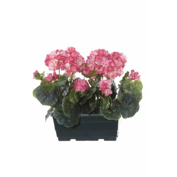 FLOREANA artificial geraniums in a window box, 2 pieces, dark pink, 24x11x35cm