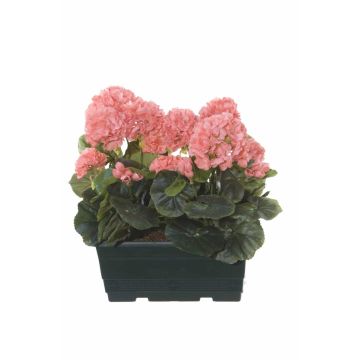 FLOREANA artificial geraniums in a window box, 2 pieces, salmon, 24x11x35cm