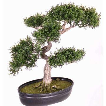 Plastic Bonsai Cedar JARNO, aerial roots, decorative planter, 16"/40cm Plastic Bonsai Cedar JARNO, aerial roots, decorative planter, 16"/40cm