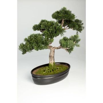 Plastic Bonsai Cedar JARNO, aerial roots, decorative planter, 16"/40cm Plastic Bonsai Cedar JARNO, aerial roots, decorative planter, 16"/40cm