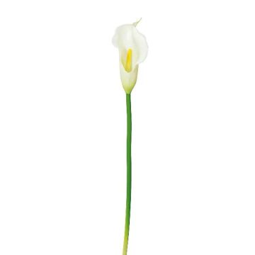 Plastic flower Calla PERKAN, white, 14"/35cm Plastic flower Calla PERKAN, white, 14"/35cm