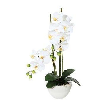 Artificial Phalaenopsis orchid DINKA in ceramic bowl, roots, white, 20"/50cm
