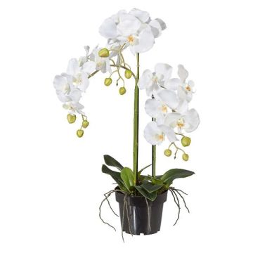 Artificial Phalaenopsis orchid LOPASY, roots, white, 24"/60cm Artificial Phalaenopsis orchid LOPASY, roots, white, 24"/60cm