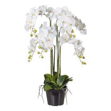 Artificial Phalaenopsis orchid LOPASY, roots, white, 3ft/90cm