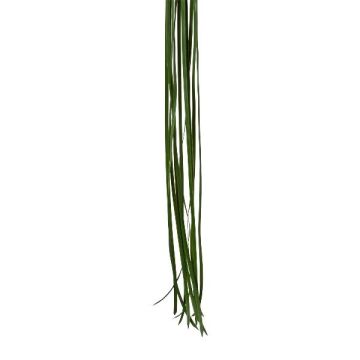 Artificial seagrass ZALME, 12 stalks, green, 4ft/120cm Artificial seagrass ZALME, 12 stalks, green, 4ft/120cm