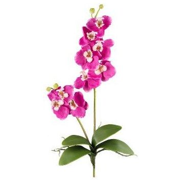 Artificial Phalaenopsis orchid MORLEK, spike, roots, fuchsia, 24"/60cm