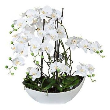Artificial arrangement of orchid and corkscrew willow TANIN, ceramic bowl, roots, white, 28"/70cm