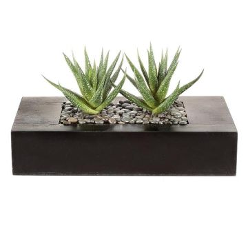 Artificial succulent Aloe variegata FRONZ in wooden box, green-white, 9"x4.3"x5.5"/24x11x14cm Artificial succulent Aloe variegata FRONZ in wooden box, green-white, 9"x4.3"x5.5"/24x11x14cm