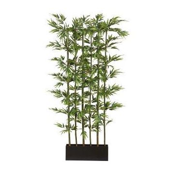 Artificial Japanese arrow bamboo room divider KAWAI in wooden box, natural stems, 3ftx20"x5ft/95x50x165cm