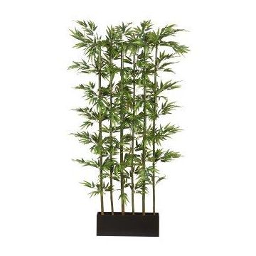 Artificial Japanese arrow bamboo room divider KAWAI in wooden box, natural stems, 4ftx20"x6ft/115x50x195cm