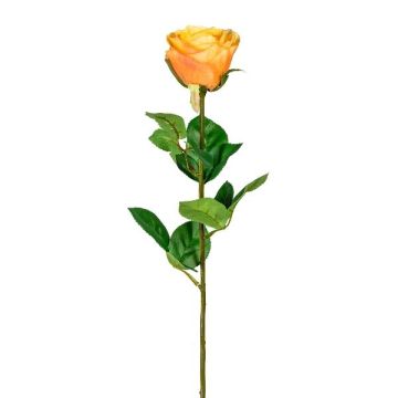 Decorative flower rose NORLAN, apricot, 28"/70cm, Ø3.1"/8cm Decorative flower rose NORLAN, apricot, 28"/70cm, Ø3.1"/8cm