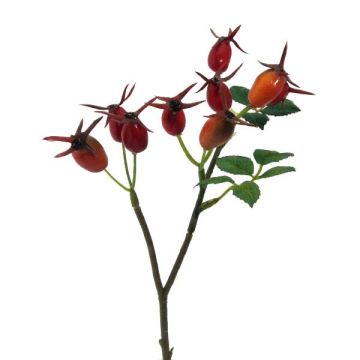 Decorative branch Dog rose BRULFI with rose hips, orange, 10"/25cm