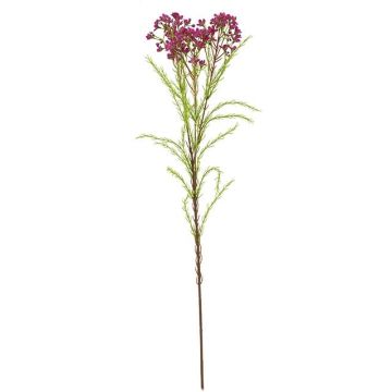 Artificial branch wax flower MEDEA, hot pink, 31"/80cm, Ø2.4"/6cm Artificial branch wax flower MEDEA, hot pink, 31"/80cm, Ø2.4"/6cm