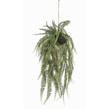 Artificial royal fern MANASLU, soil ball, roots, green, 28"/70cm