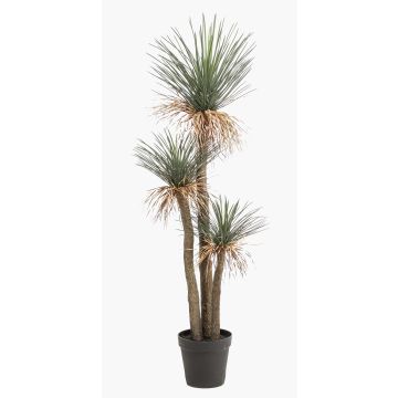 Artificial Yucca Rostrata DENALI in decorative pot, 6ft/180cm