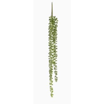 Decorative succulent Senecio hanging plant PURUS, spike, green, 24"/60cm