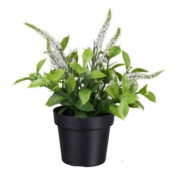 Artificial flower Speedwell GRINTOL in decorative pot, white, 7"/18cm Artificial flower Speedwell GRINTOL in decorative pot, white, 7"/18cm