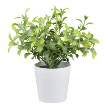 Artificial plant Boxwood PARAM, 6"/15cm Artificial plant Boxwood PARAM, 6"/15cm