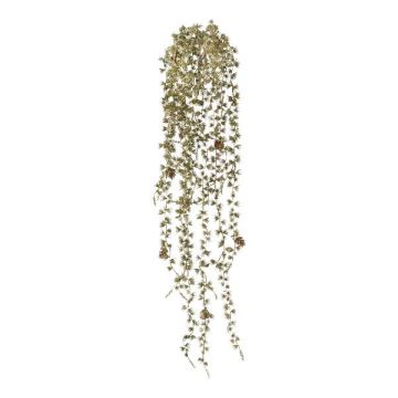 Decorative hanging plant Cedar DRIPU, spike, cones, gold, 3ft/90cm Decorative hanging plant Cedar DRIPU, spike, cones, gold, 3ft/90cm