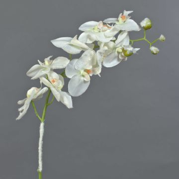 Artificial phalaenopsis NALANI, with snow, white, 31"/80cm, Ø3.1"-4"/8-10cm