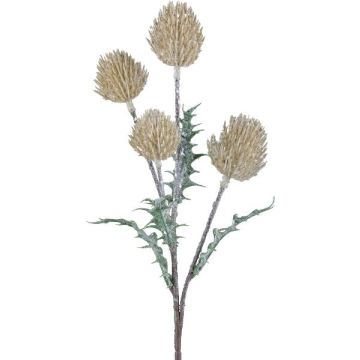 Decorative branch Eryngium KRILMO, vanilla, 16"/40cm Decorative branch Eryngium KRILMO, vanilla, 16"/40cm